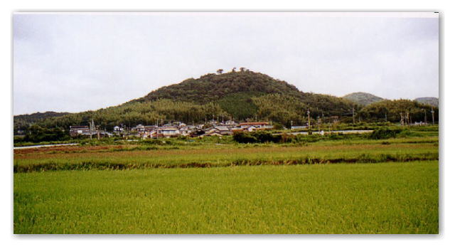 城山の写真