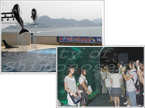 中国山東省から中学生が修学旅行で来訪の画像