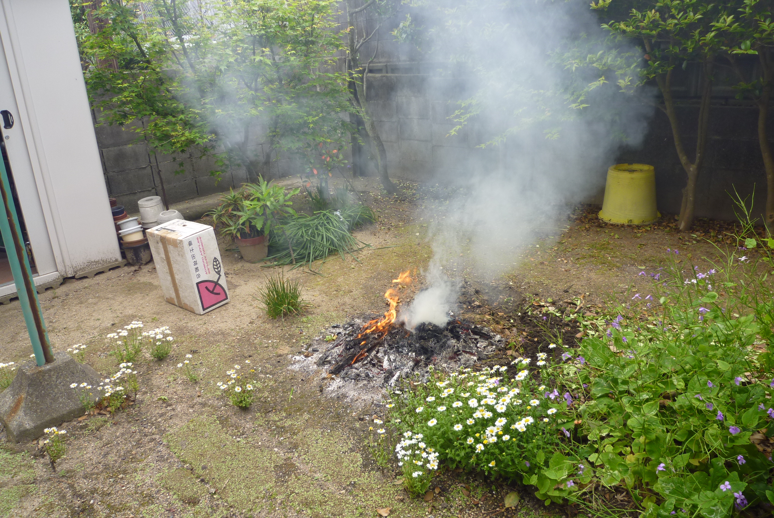 庭先での野外焼却の画像