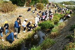 友田川環境美化・ほたる保護活動の画像