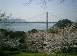 火の山公園の桜と関門海峡