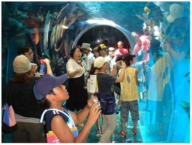日韓の子ども達が環境保護活動で「海響館」を見学　07月24日の画像