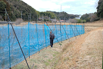 青いネットで囲われたナスの畑を倉田博明さんが眺めている画像