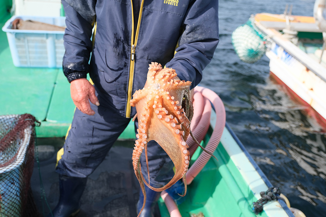 船の上で岡田新治さんがとってきたマダコを右手に持っている画像