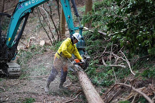 グラップルをバックに倒した木をチェンソーで４mの長さに切り分けている春永さんの画像