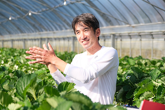 ハウスの中でイチゴの苗に囲まれた岩谷さんがお話ししている画像