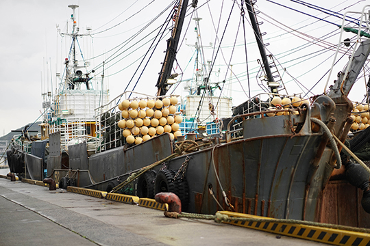 港に停泊している沖合底引き網漁の船の画像