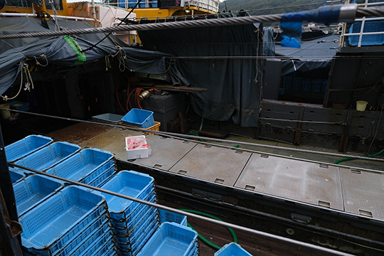沖合底引き網漁の船の中に青いカゴがたくさん積み重ねられている画像