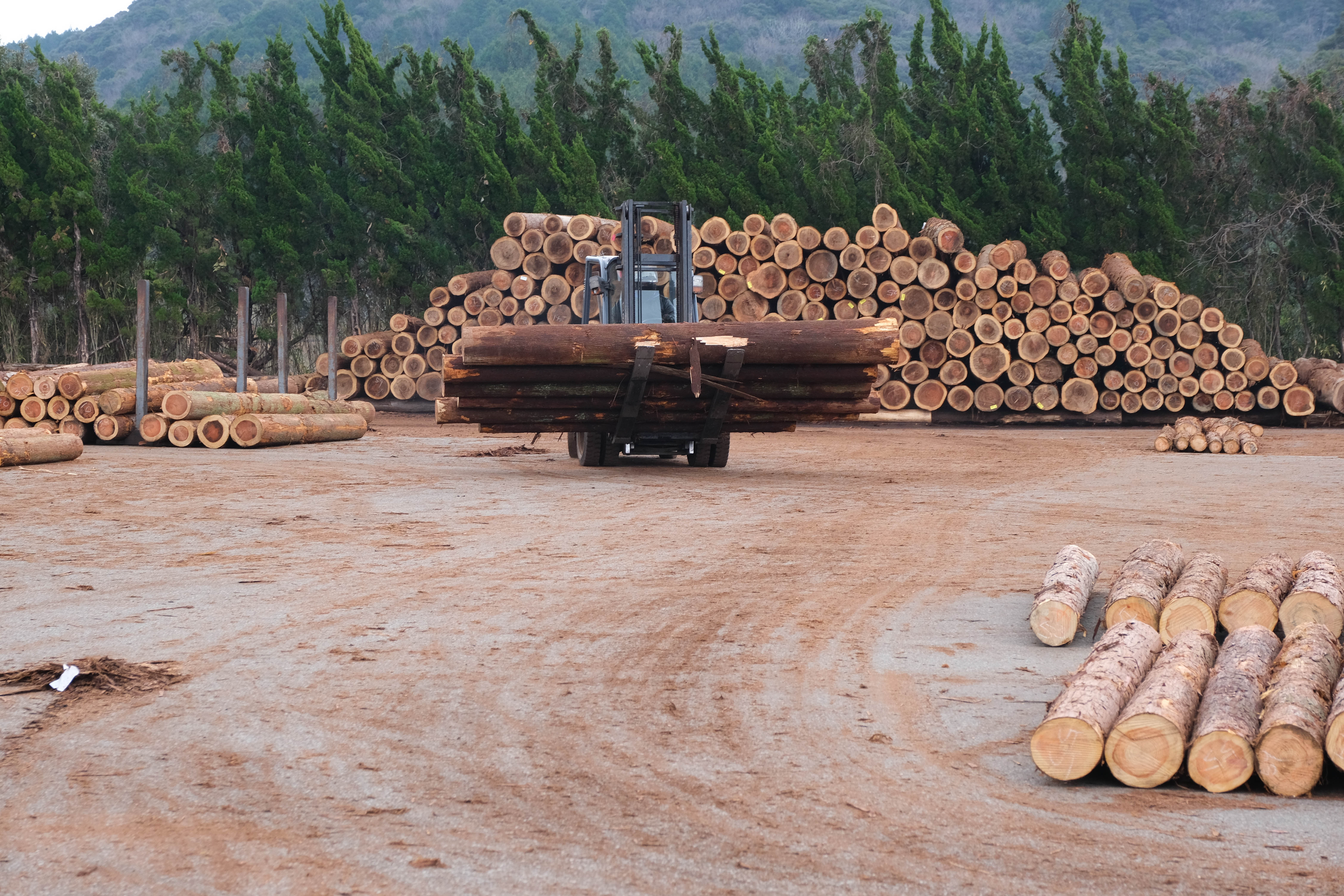 木材がたくさん積みあがっている中、フォークリフトで木材を運んでいる画像