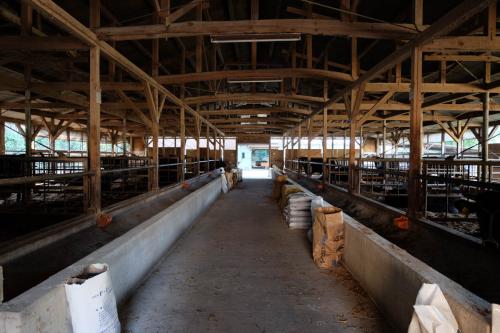 吉冨牧場　牛舎小屋の写真