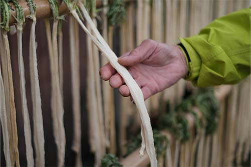 葉っぱの部分で結んで竹竿に引っ掛けて干した大根の写真