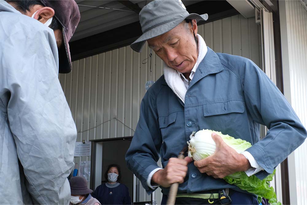 ミニ白菜の出荷作業を行う清末東ファームのみなさん