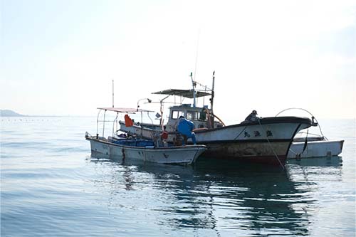 海に浮かぶハコ船と盛漁丸