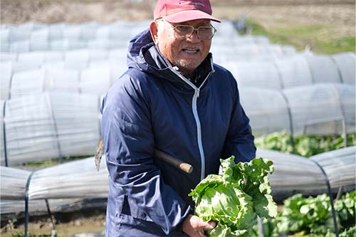 ハウスの前でレタスを手に持つ白石さん