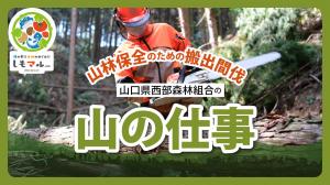 山林保全のための搬出間伐 山口県西部森林組合