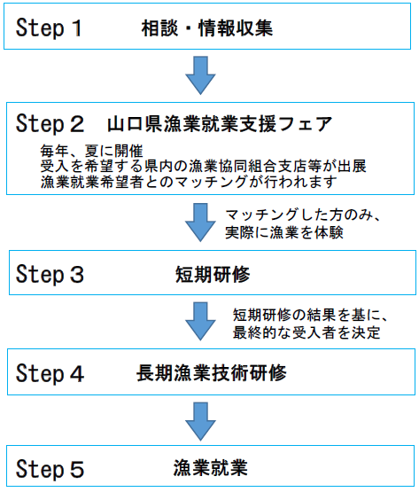 漁業就業までの流れを示した図