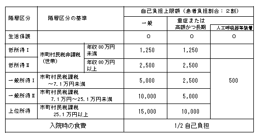 自己負担額上限額についての画像