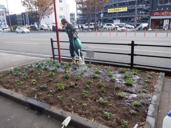 花いっぱい秋の植え付け6