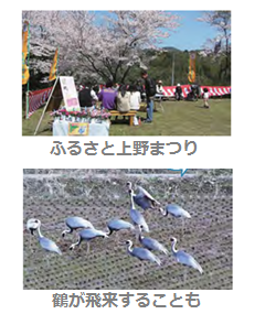 ふるさと上野まつり　鶴が飛来することもの画像