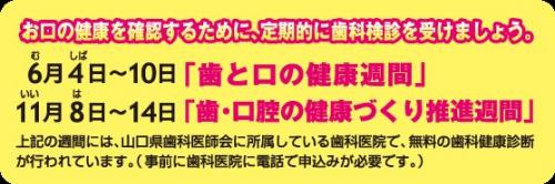 無料歯科健康診断及び相談