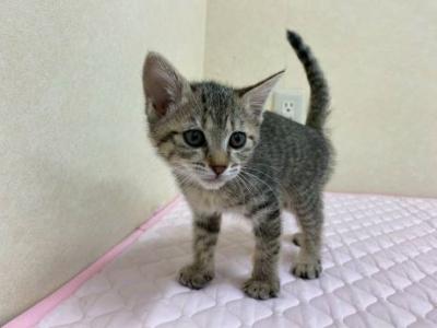 ウーちゃん