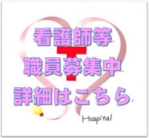 テスト