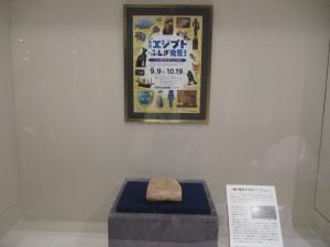 展示の様子　1