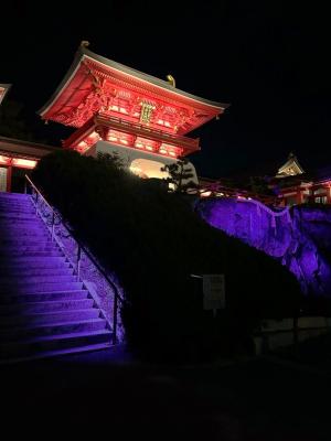 赤間神宮(階段、太閤石)