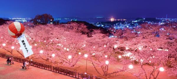 花見提灯