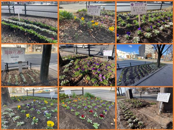 花壇の様子2