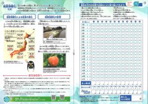 ぜろたんチャレンジシート 4~6年生(裏)