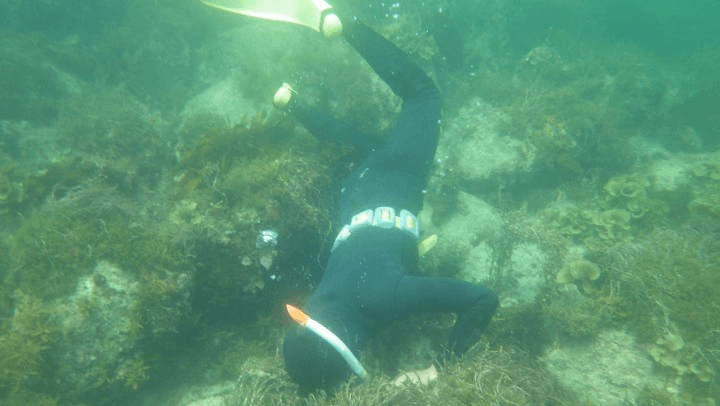 海士漁の画像