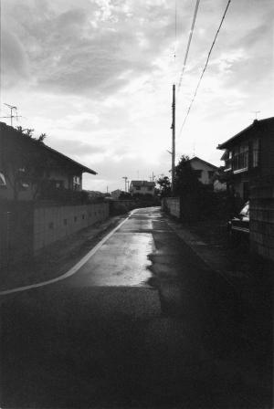 野村佐紀子『nude a room flowers』(2012年)より