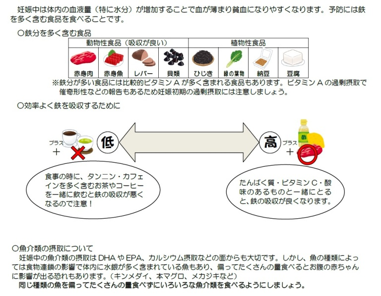 妊娠中に気をつけたい食事のポイント　（1）貧血予防の画像