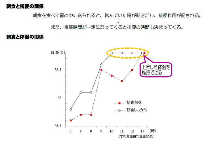 朝ごはんの大切さを知りましょう！(2)体の調子を整えるの画像