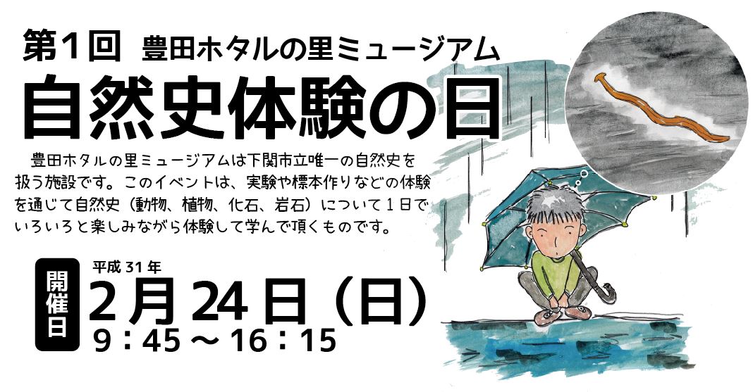 第1回 自然史体験の日の画像