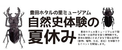 自然史体験の夏休みの画像