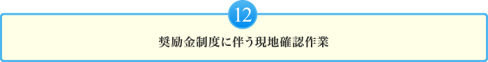 奨励金制度に伴う現地確認作業