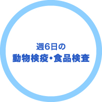 週6日の動物検疫・食品検査