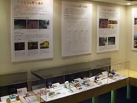 展示（各種標本展示）の画像1