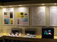 展示（各種標本展示）の画像2