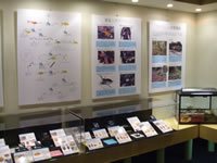 展示風景（標本展示など）の画像3