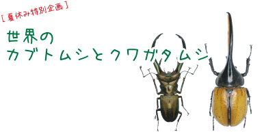 テーマ展関連の画像1