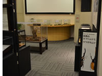 テーマ展関連の画像2