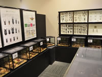 テーマ展関連の画像4
