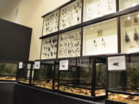 展示の様子の画像6