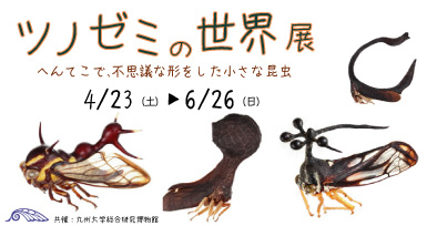 テーマ展関連 - 下関市