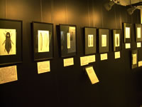 展示風景の画像2