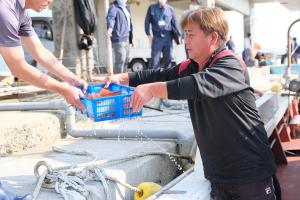 船からプラスチックのカゴに入ったケンサキイカを計量するスタッフに手渡す松村秀昭さんの画像