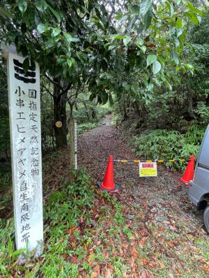 小串エヒメアヤメ自生南限地帯立入禁止